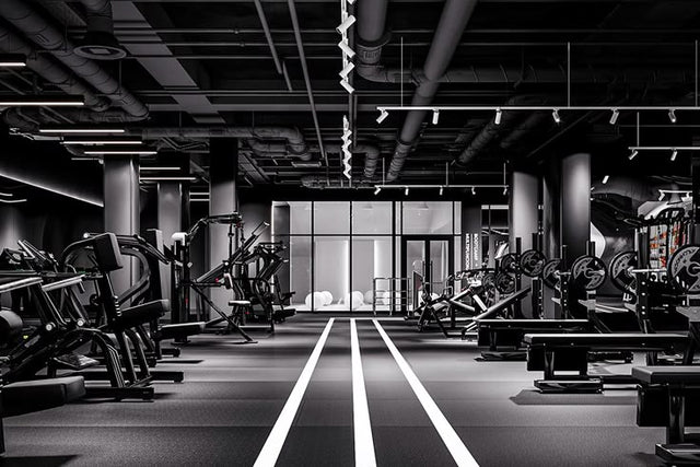 Gym & Fitness Equipment