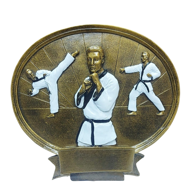 Karate Round Trophy – Premium Martial Arts Award for Champions & Competitions HX1136-A8