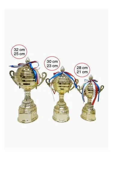 Trophy Set Of Three Resin Decoration Electroplating crafts Ornaments | Ideal for All Surfaces, Kids & Adults | Match-Ready | Includes Pump & Needle | Durable & Long-Lasting Performance