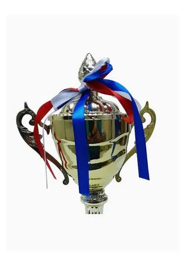 Trophy With Resin Decoration Electroplating Ornaments | Ideal for All Surfaces, Kids & Adults | Match-Ready | Includes Pump & Needle | Durable & Long-Lasting Performance
