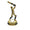 Cricket Trophy / Medals