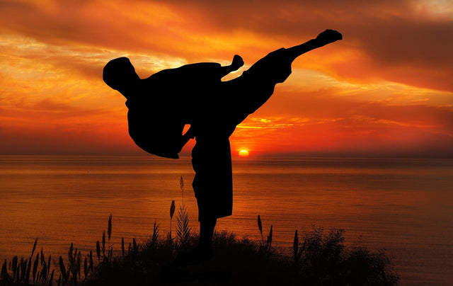 Karate ALL HEAD