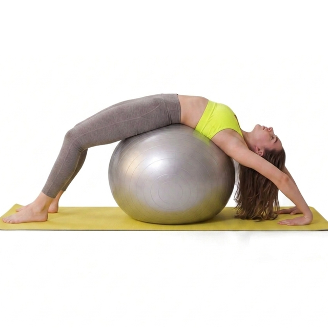 Premium Anti-Burst Gym Ball 55CM,65CM,75CM Exercise Ball for Fitness, Yoga, Pilates, Core Strength Training, Balance Workout, Stability Ball for Home Gym, Pregnancy Exercise and Physical Therapy