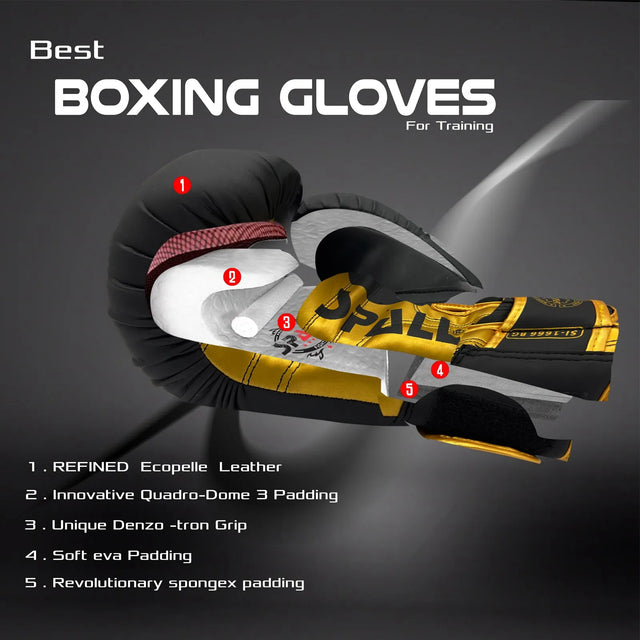 Boxing Gloves For Sparring Training & Fighting Lightweight (SI-1666) | Ideal for All Surfaces, Kids & Adults | Match-Ready | Includes Pump & Needle | Durable & Long-Lasting Performance