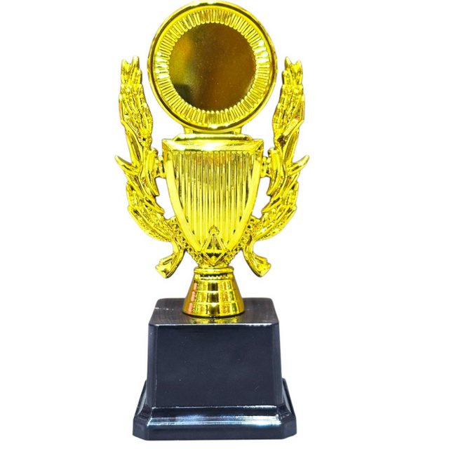 20cm Gold Trophy – Achievement Award Trophy for Sports, Competitions & Recognition Events