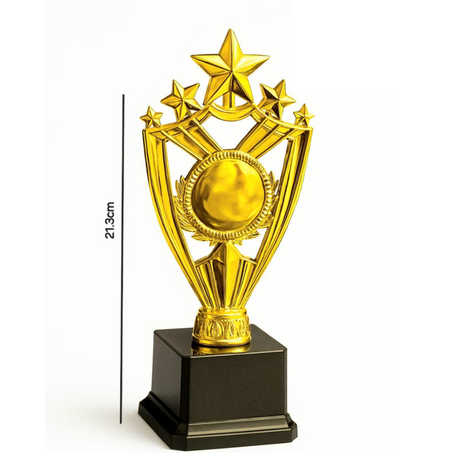 21.3cm Star Gold Trophy – Achievement Award Trophy for Sports, Competitions & Recognition Events