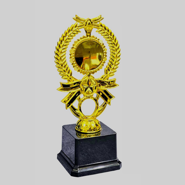 20cm Golden Star Trophy – Premium Award Trophy with Black Base for Achievements, Competitions & Events