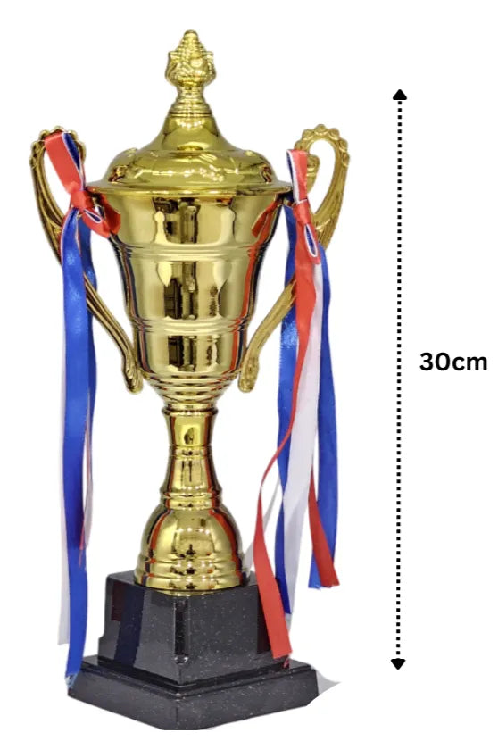 30cm Large Iron Metal Trophy Cup, for Sports Events, Championship, Football League Match, Team Collaboration Award | Ideal for All Surfaces, Kids & Adults | Match-Ready | Includes Pump & Needle