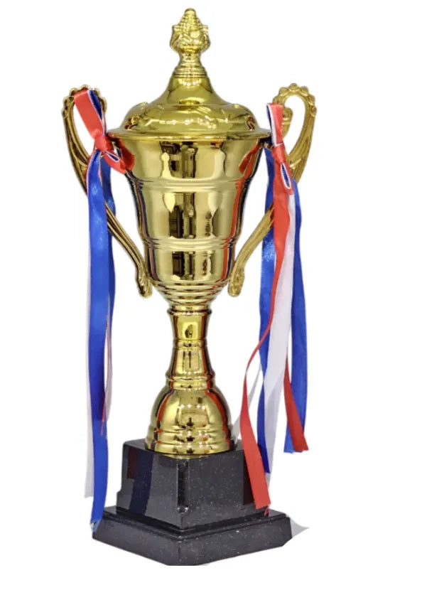 30cm Large Iron Metal Trophy Cup, for Sports Events, Championship, Football League Match, Team Collaboration Award | Ideal for All Surfaces, Kids & Adults | Match-Ready | Includes Pump & Needle