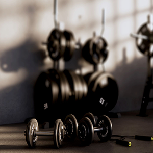 Gym & Fitness Equipment 