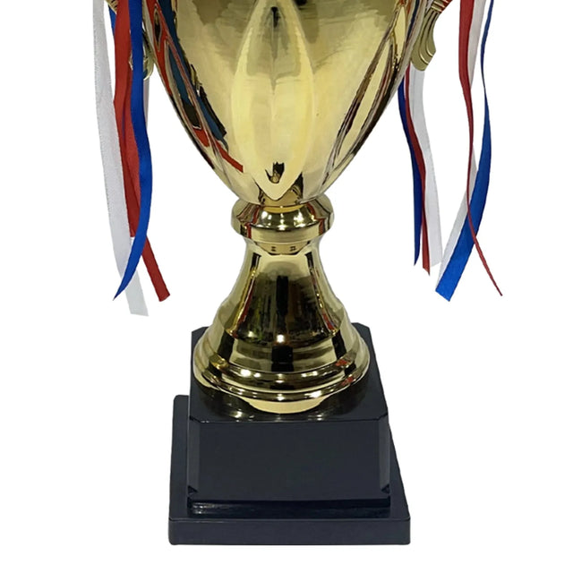 Trophies Set Gold Plastic Awards Trophies For Party Decorations Party Favors School Awards Game Prize And Appreciation Gifts | Ideal for All Surfaces, Kids & Adults | Match-Ready | Includes Pump & Needle