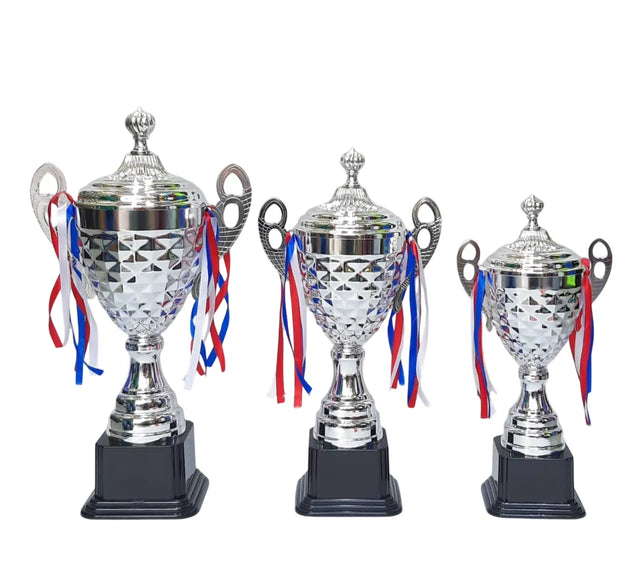 Set of 3 Silver Trophies ? 54/47/40cm | Premium Awards for Competitions & Achievements 4069 | Ideal for All Surfaces, Kids & Adults | Match-Ready | Includes Pump & Needle | Durable & Long-Lasting Performance
