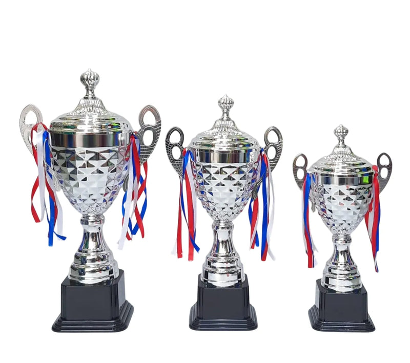 Set of 3 Silver Trophies ? 54/47/40cm | Premium Awards for Competitions & Achievements 4069 | Ideal for All Surfaces, Kids & Adults | Match-Ready | Includes Pump & Needle | Durable & Long-Lasting Performance