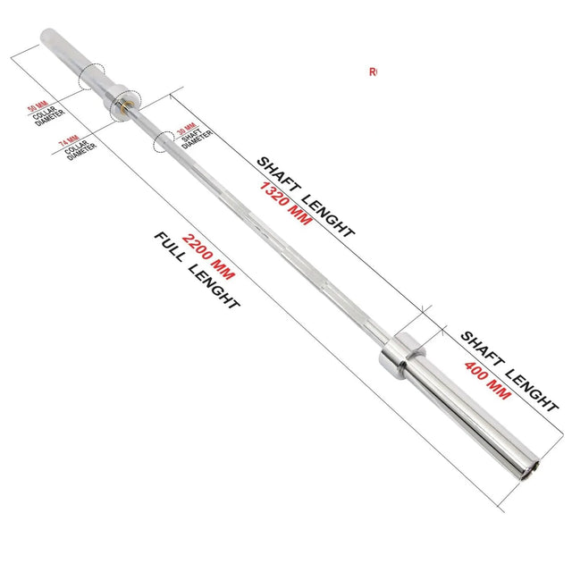 Olympic Barbell Rod Em 216100 Rod 2.2M, Silver | Ideal for All Surfaces, Kids & Adults | Match-Ready | Includes Pump & Needle | Durable & Long-Lasting Performance