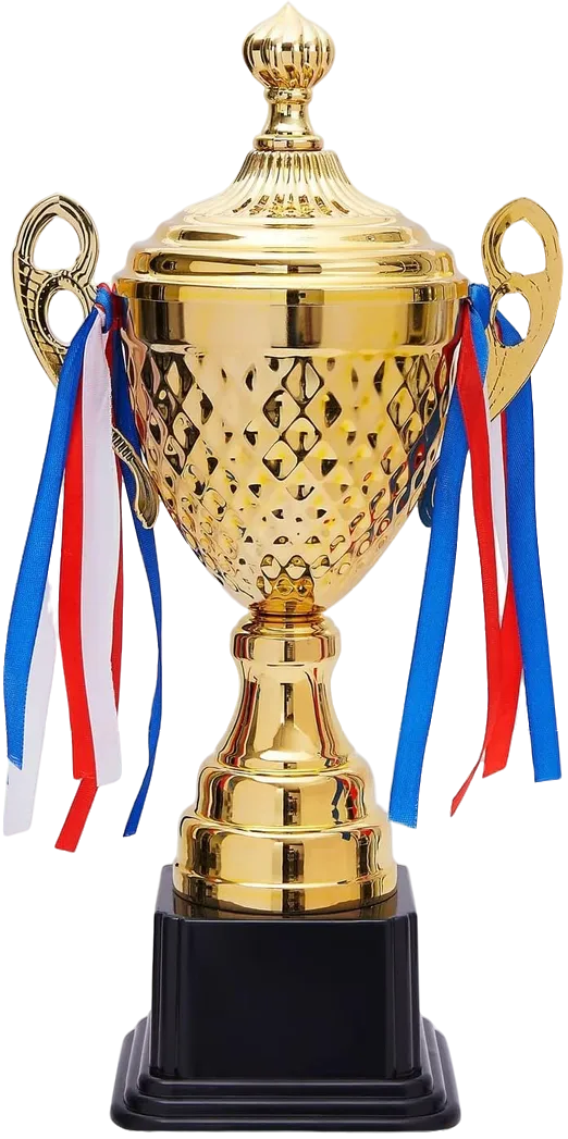 Set of 3 Gold Trophies ? 50/45/39cm | Premium Awards 4069 | Ideal for All Surfaces, Kids & Adults | Match-Ready | Includes Pump & Needle | Durable & Long-Lasting Performance