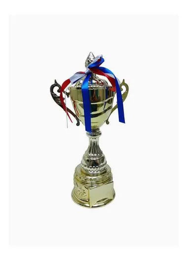 Trophy With Resin Decoration Electroplating Ornaments | Ideal for All Surfaces, Kids & Adults | Match-Ready | Includes Pump & Needle | Durable & Long-Lasting Performance