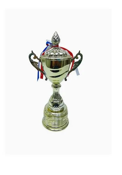 Trophy With Resin Decoration Electroplating Ornaments | Ideal for All Surfaces, Kids & Adults | Match-Ready | Includes Pump & Needle | Durable & Long-Lasting Performance