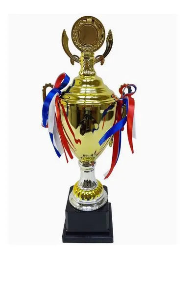 Trophy With Resin Decoration Electroplating Ornament | Ideal for All Surfaces, Kids & Adults | Match-Ready | Includes Pump & Needle | Durable & Long-Lasting Performance