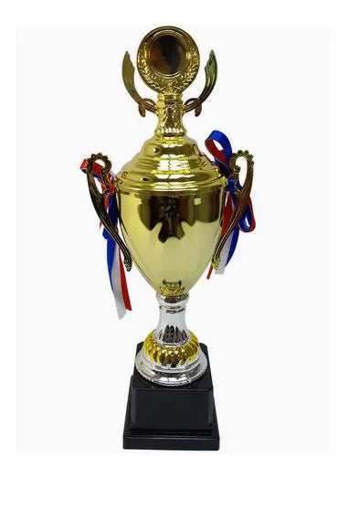 Trophy With Resin Decoration Electroplating Ornament | Ideal for All Surfaces, Kids & Adults | Match-Ready | Includes Pump & Needle | Durable & Long-Lasting Performance