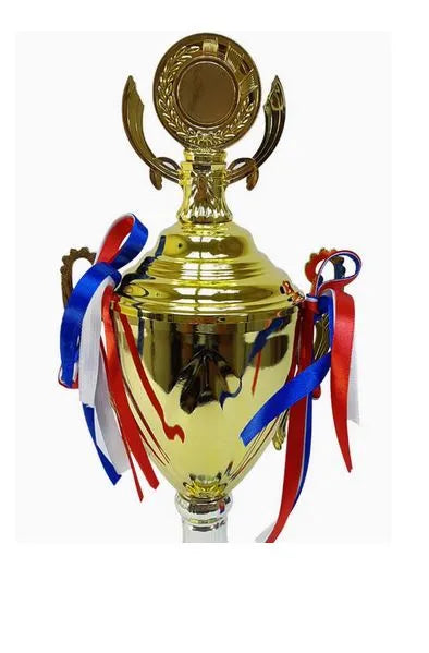 Trophy With Resin Decoration Electroplating Ornament | Ideal for All Surfaces, Kids & Adults | Match-Ready | Includes Pump & Needle | Durable & Long-Lasting Performance